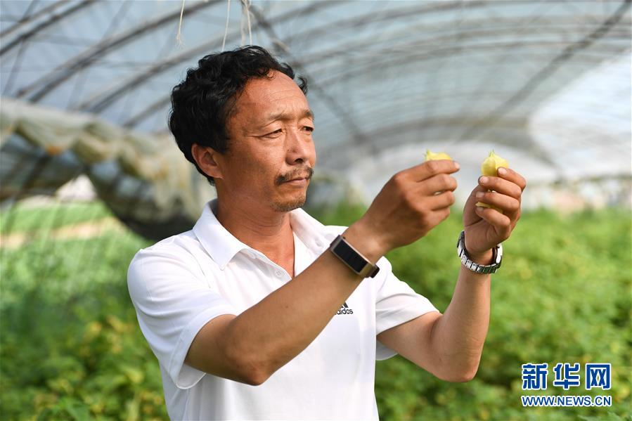 （新華全媒頭條·走向我們的小康生活·圖文互動）（7）黑土地上是我家——在吉林，一瞥中國東北鄉(xiāng)村美麗未來