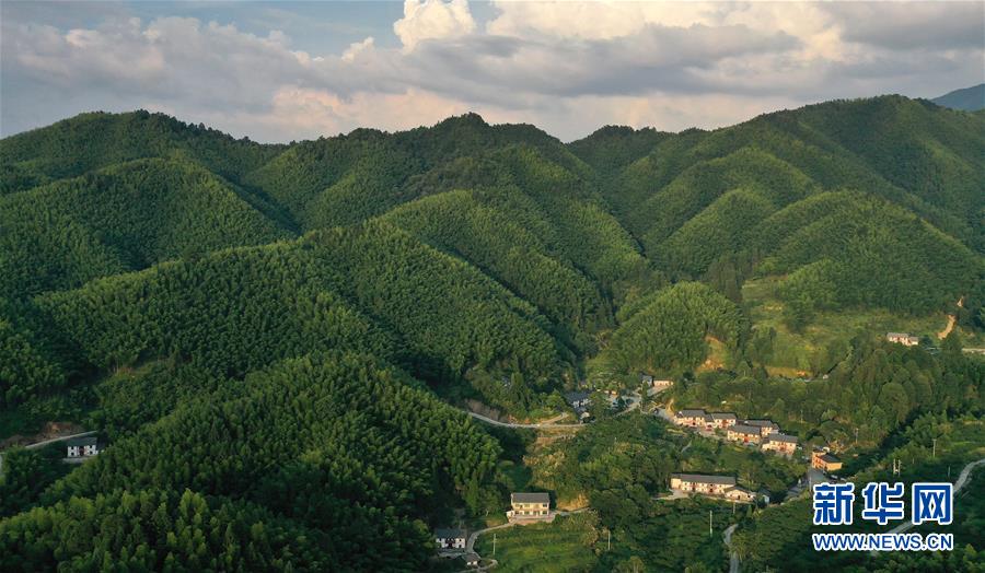 （新華全媒頭條·走向我們的小康生活·圖文互動(dòng)）（2）神山村“神奇”何在？——井岡山深處覓答案