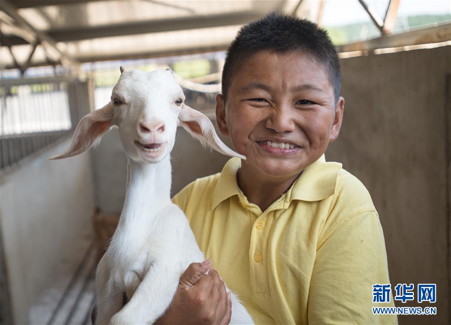 （新華全媒頭條·走向我們的小康生活·圖文互動）（5）特殊之年，荊楚大地書寫不平凡的答卷