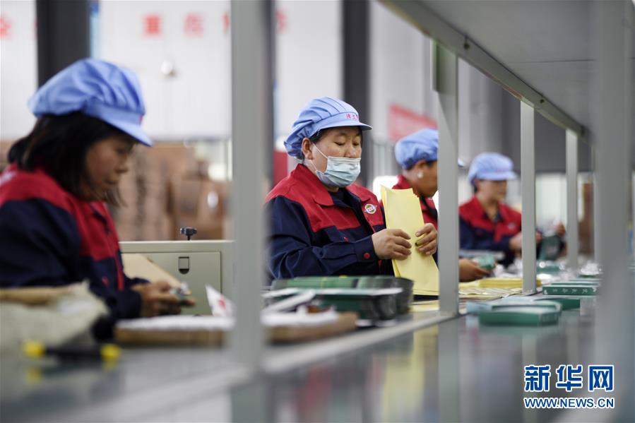 （在習(xí)近平新時代中國特色社會主義思想指引下——新時代新作為新篇章·習(xí)近平總書記關(guān)切事·圖文互動）（1）“綠色銀行”發(fā)工資、“股東”分紅來敲門……——探索長效脫貧致富新機制見聞