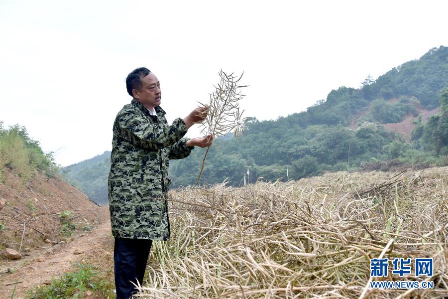 （代表委員履職·圖文互動(dòng)）（1）“我是農(nóng)民代表，始終關(guān)注農(nóng)村”——全國(guó)人大代表沈昌健的履職故事