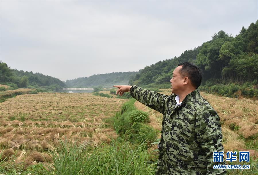 （代表委員履職·圖文互動(dòng)）（2）“我是農(nóng)民代表，始終關(guān)注農(nóng)村”——全國(guó)人大代表沈昌健的履職故事
