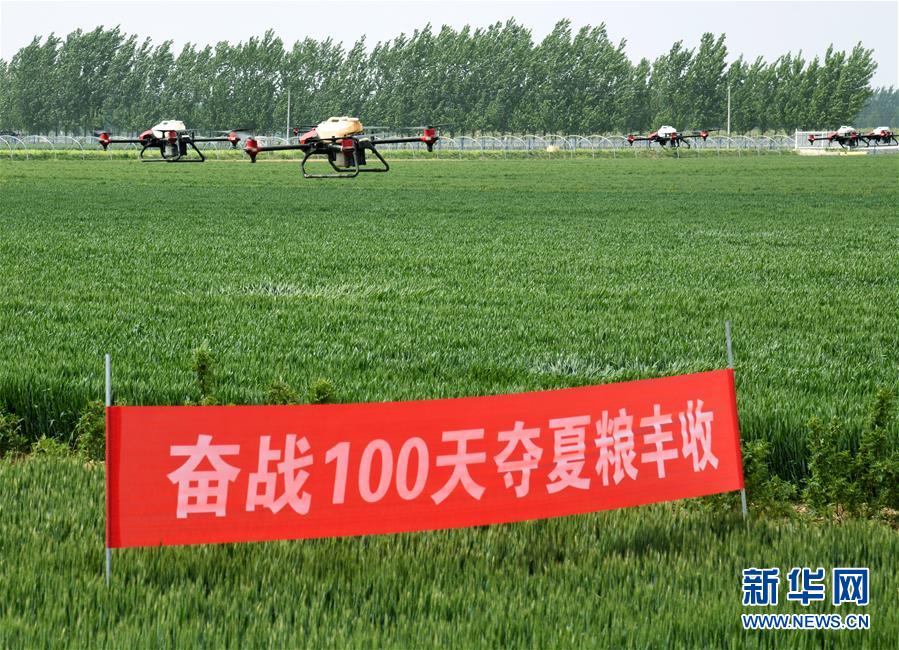（在習(xí)近平新時代中國特色社會主義思想指引下——新時代新作為新篇章·習(xí)近平總書記關(guān)切事·圖文互動）（9）新農(nóng)事、新希望——夏收前田間新動態(tài)掃描