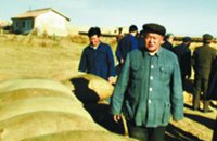 無限忠誠，一生不渝的信仰