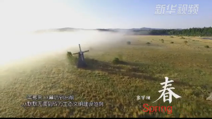 塞罕壩：那一抹綠色，走進越來越多人心里