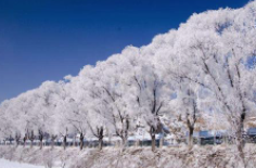 全國(guó)初雪時(shí)間表出爐 看看你離初雪還有多遠(yuǎn)？