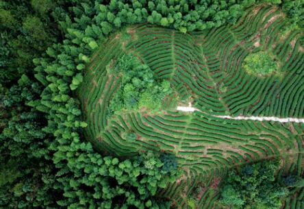 福建龍巖：高效用地，提升生態(tài)環(huán)境水平