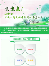 劃重點(diǎn)！2019年中央一號(hào)文件中的硬任務(wù)怎么干