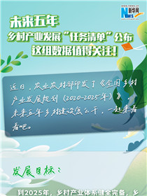 未來五年鄉(xiāng)村產業(yè)發(fā)展“任務清單”公布 這組數據值得關注！