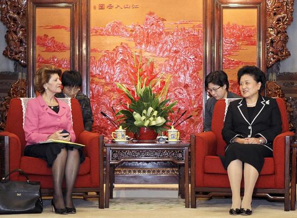 劉延?xùn)|會(huì)見歐盟委員會(huì)教育、文化、語言多樣性及青年事務(wù)委員瓦西利烏