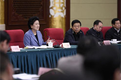 劉延?xùn)|出席國(guó)務(wù)院學(xué)位委員會(huì)第三十三次會(huì)議并講話(huà)