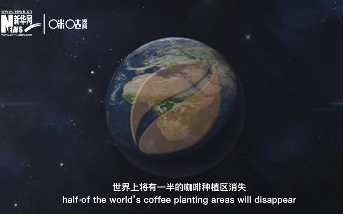 科學(xué)家預(yù)測(cè)到三十年后，世界上將有一半的咖啡種植區(qū)消失