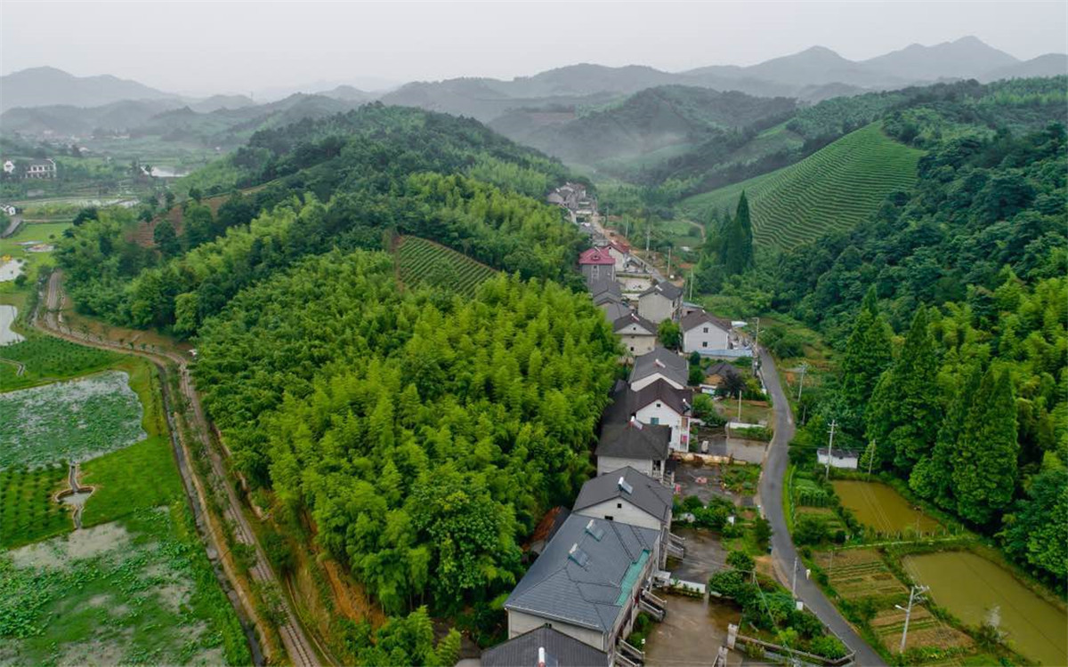 從2003年起，浙江省開展了“千村示范、萬(wàn)村整治”工程