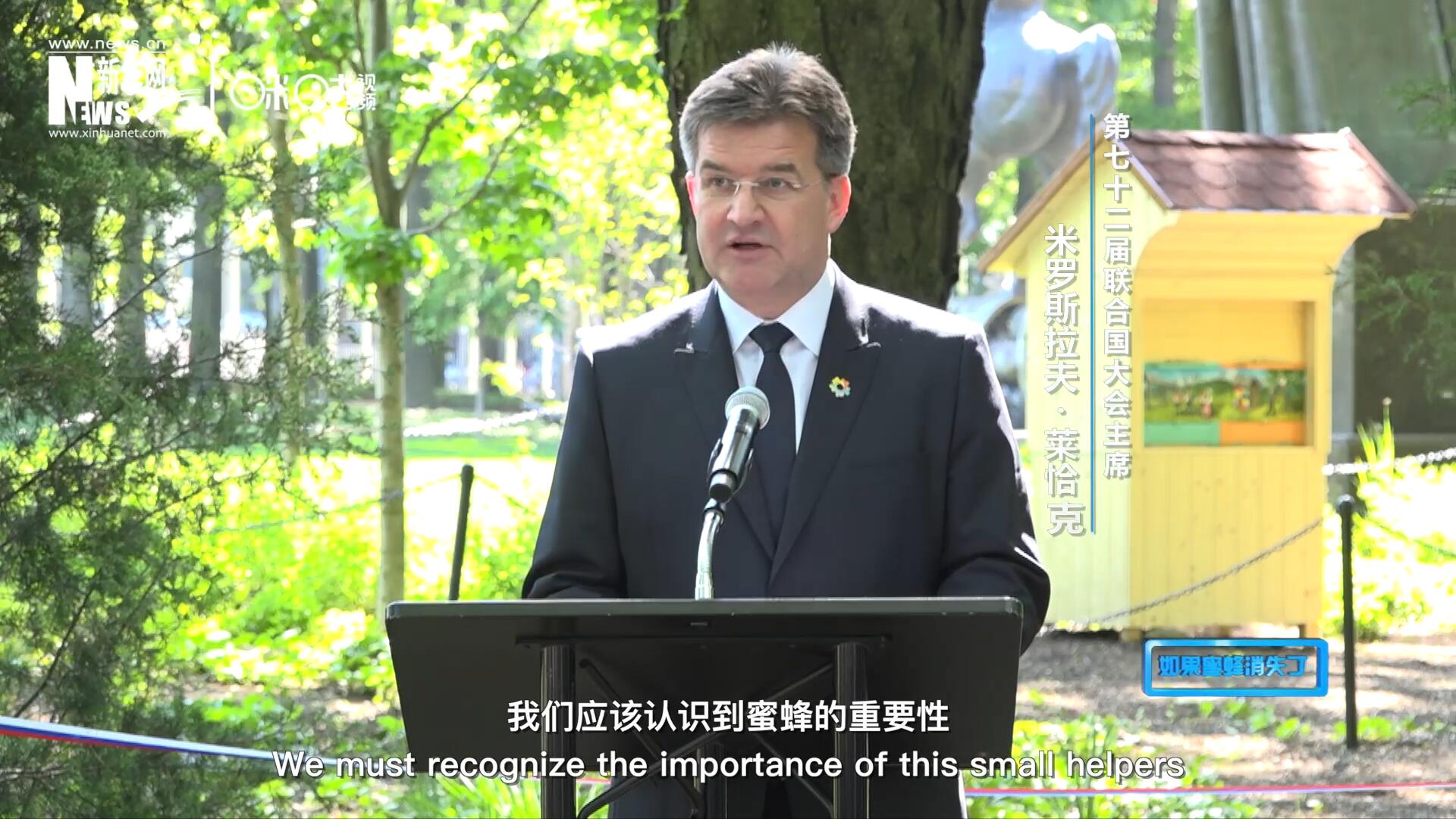 我們應(yīng)該認(rèn)識到蜜蜂的重要性，所以我們用“世界蜜蜂日”提高大家保護(hù)蜜蜂的意識，并且用實際行動去保護(hù)蜜蜂