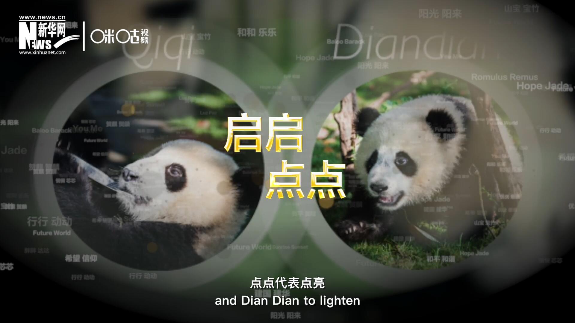 啟啟代表“啟發(fā)”，點(diǎn)點(diǎn)代表“點(diǎn)亮”，象征著2030年可持續(xù)發(fā)展議程 的“起點(diǎn)”，也象征著全球可持續(xù)發(fā)展路徑的新起點(diǎn)。