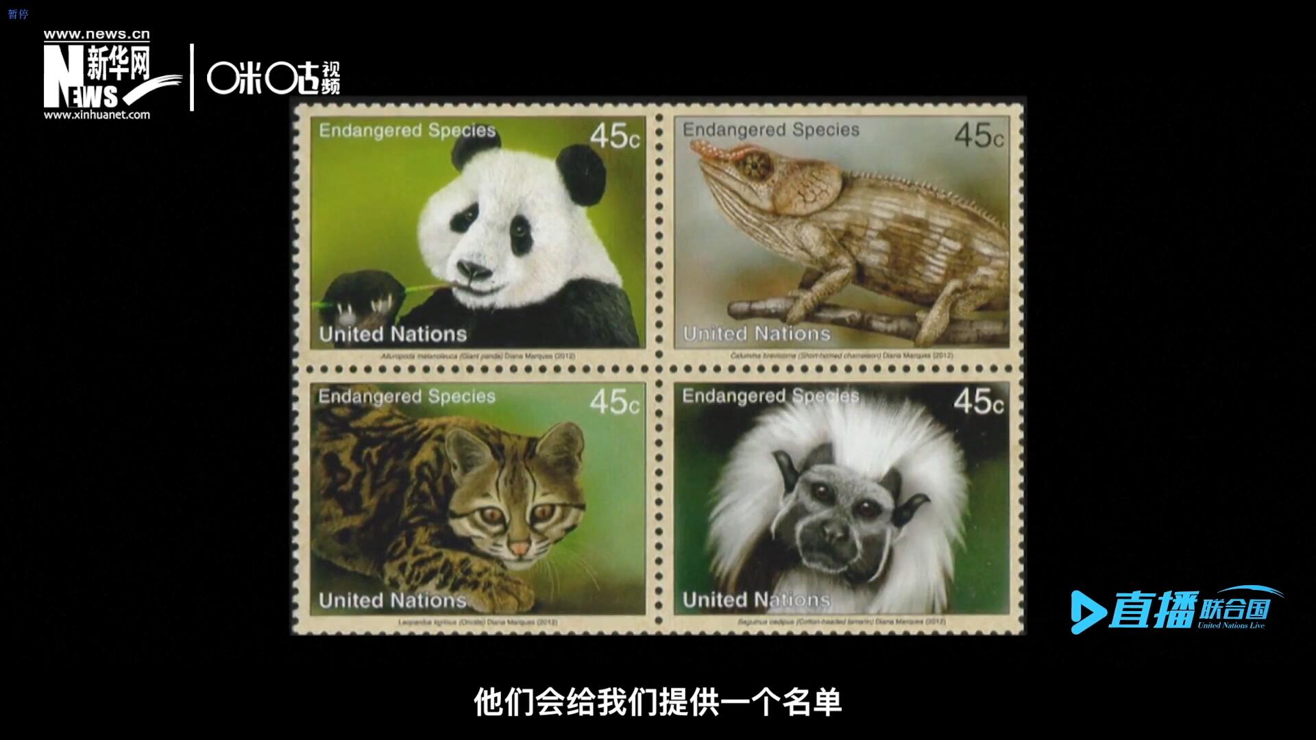 CITES（瀕危野生動植物種國際貿(mào)易公約）會給聯(lián)合國郵政設(shè)計師提供一個名單，雙方共同合作在附錄中找到名單中應(yīng)該受到關(guān)注的動物。