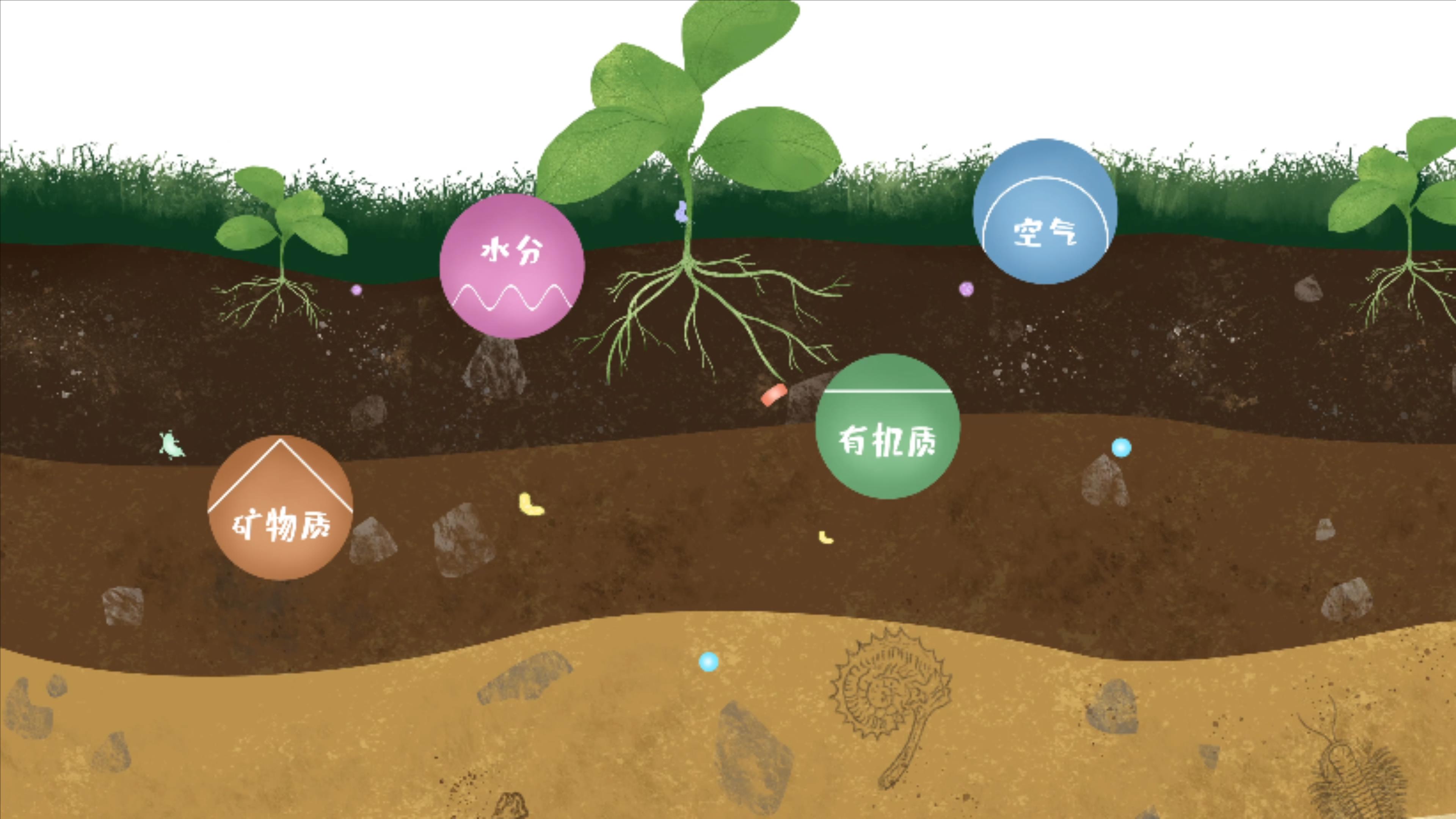 土壤由礦物質(zhì)、有機質(zhì)、水分、空氣及包括微生物在內(nèi)的生物體等組成