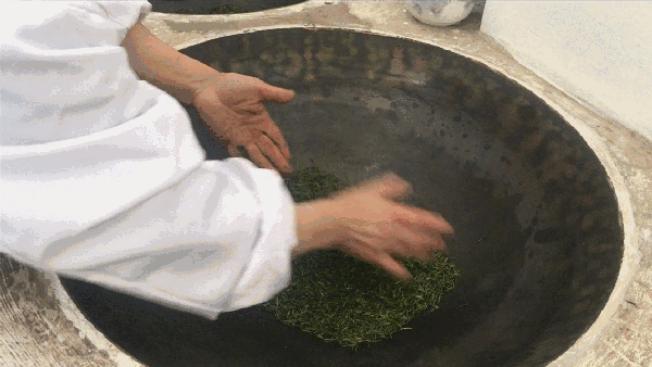 申遺，把雨花茶手藝傳承下去