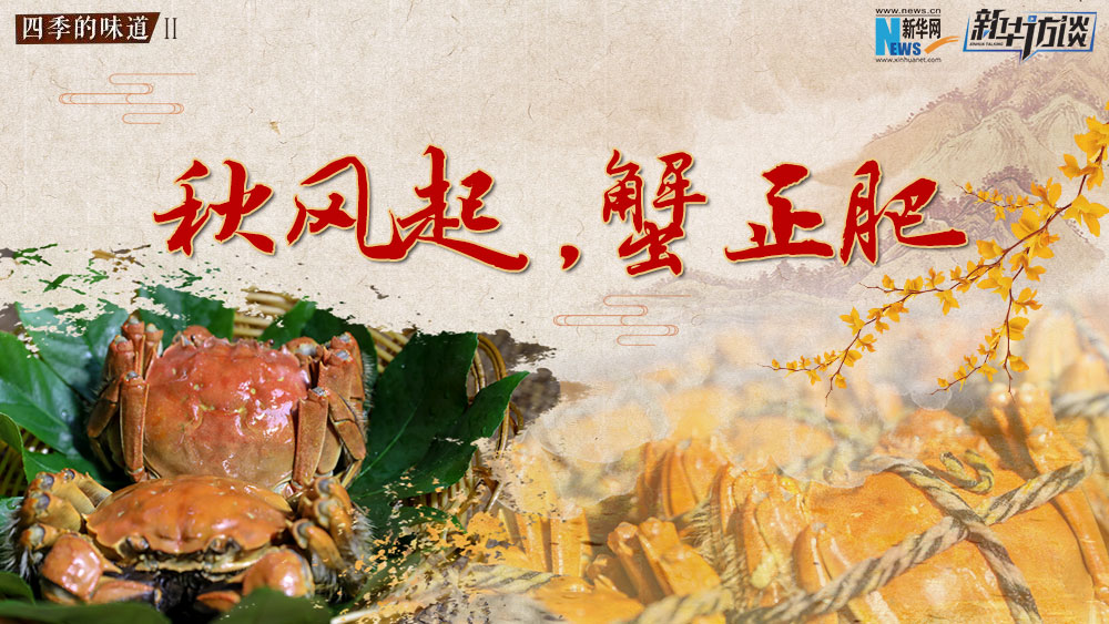秋風起，蟹正肥