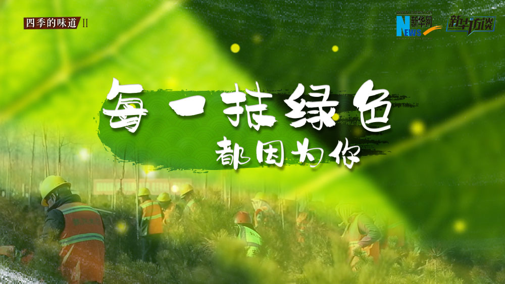 千年秀林，每一抹綠色都因為你