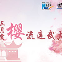 三月賞櫻，流連武大