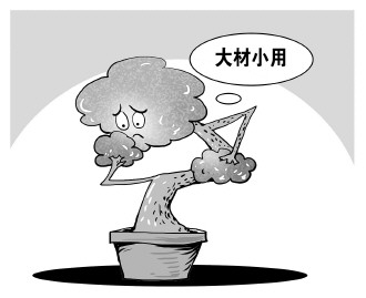 自認(rèn)“大材小用”，不如腳踏實(shí)地