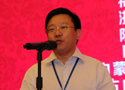 國際旅游投資協(xié)會副會長、巔峰智業(yè)首席顧問劉鋒