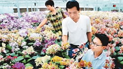 臺商眼中的改革開放：風(fēng)景這邊獨好 要去，要去，要去！