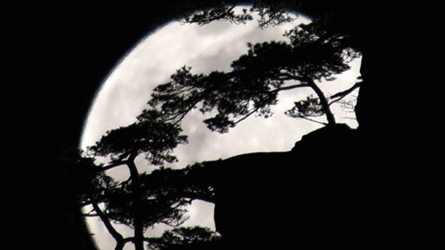 太驚艷！明月奇松 夢(mèng)幻同框