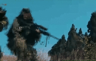 突入，擊斃！直擊武警特戰(zhàn)反劫持演練！