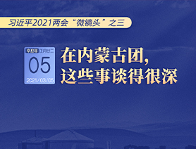 習(xí)近平2021兩會(huì)“微鏡頭”之三 3月5日 在內(nèi)蒙古團(tuán)，這些事談得很深