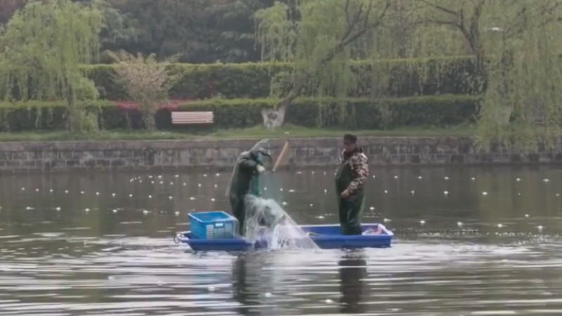 別人家的學(xué)校！安師大請(qǐng)師生吃一萬(wàn)斤魚(yú)