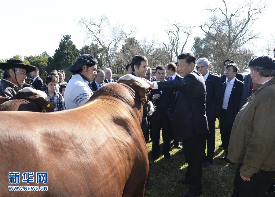 當?shù)貢r間7月19日，正在對阿根廷進行國事訪問的國家主席習近平參觀共和國莊園，考察阿根廷農牧業(yè)，了解阿根廷農牧民文化特色。新華社記者馬占成攝 