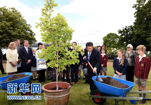 11月18日，國家主席習(xí)近平在澳大利亞塔斯馬尼亞州與朗塞斯頓市斯科奇－歐克伯恩小學(xué)的小學(xué)生共同植樹。新華社記者 饒愛民 攝