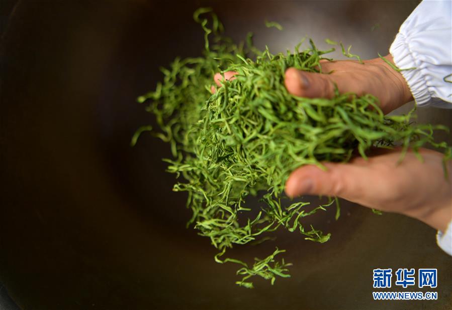 （亞洲文明對(duì)話大會(huì)）（8）茗香亞洲 茶韻綿長