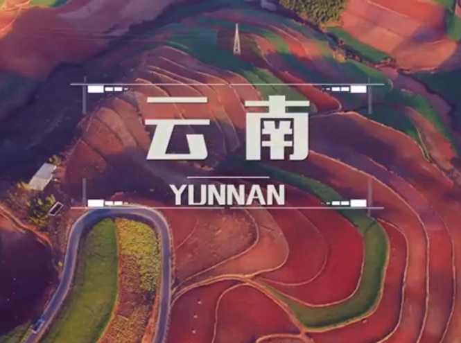 面向全球，直播“一帶一路”！——古道新生云之南