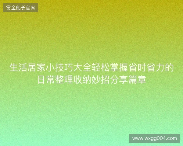 生活居家小技巧大全轻松掌握省时省力的日常整理收纳妙招分享篇章
