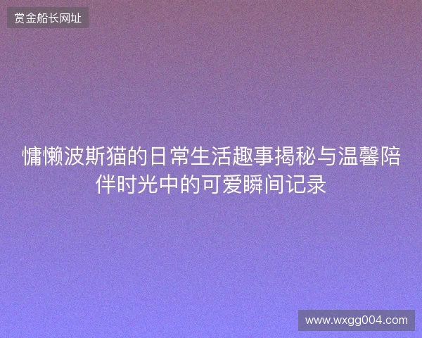 慵懒波斯猫的日常生活趣事揭秘与温馨陪伴时光中的可爱瞬间记录